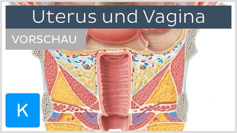 schöne nasse muschi|Nasse und tropfende weibliche Orgasmus